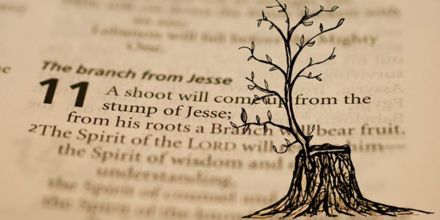 Readings for the Second Sunday of Advent, December 7, 2025